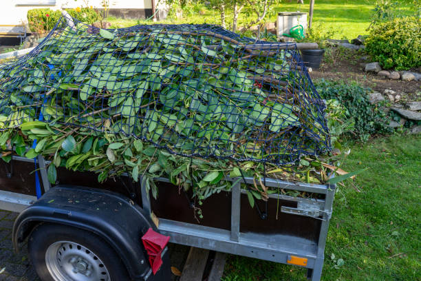 Best Shed Removal  in Scappoose, OR